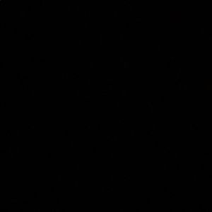 Meet your Posher, Carter